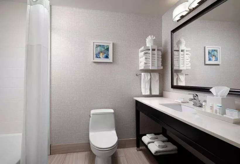 ２ダブルベッドのスタンダードルーム, Hampton Inn Jackson/clinton