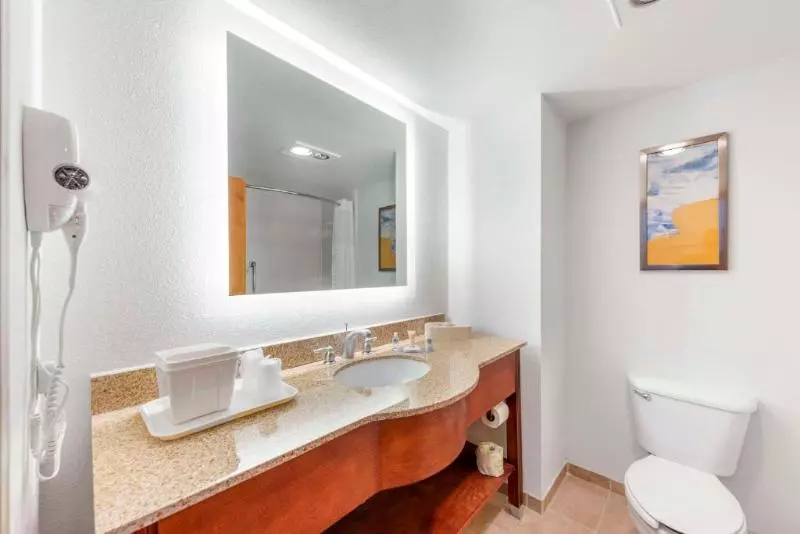 اتاق استاندارد با تخت بزرگ, Comfort Inn   Killeen Near Fort Cavazos