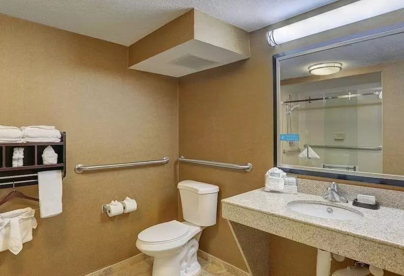 ダブルベッドのスタンダードスタジオ, Hampton Inn Nashvillei24 Hickory Hollow