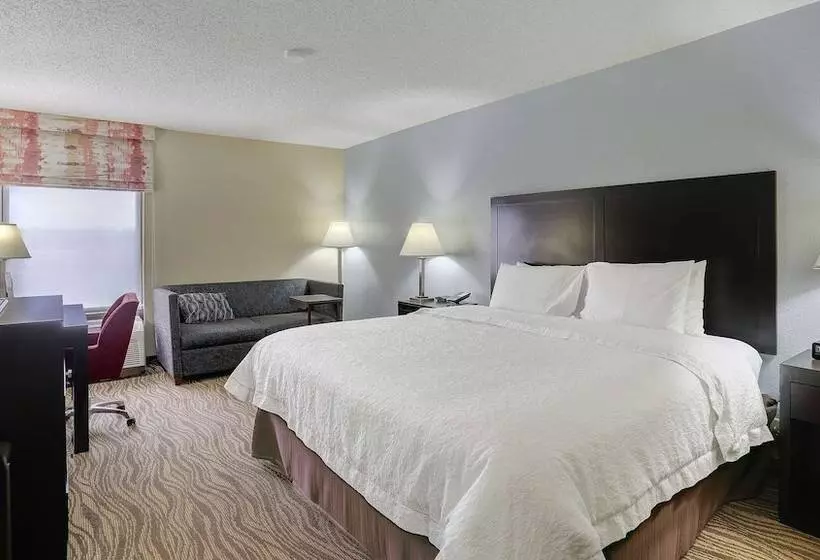 ダブルベッドのスタンダードスタジオ, Hampton Inn Nashvillei24 Hickory Hollow