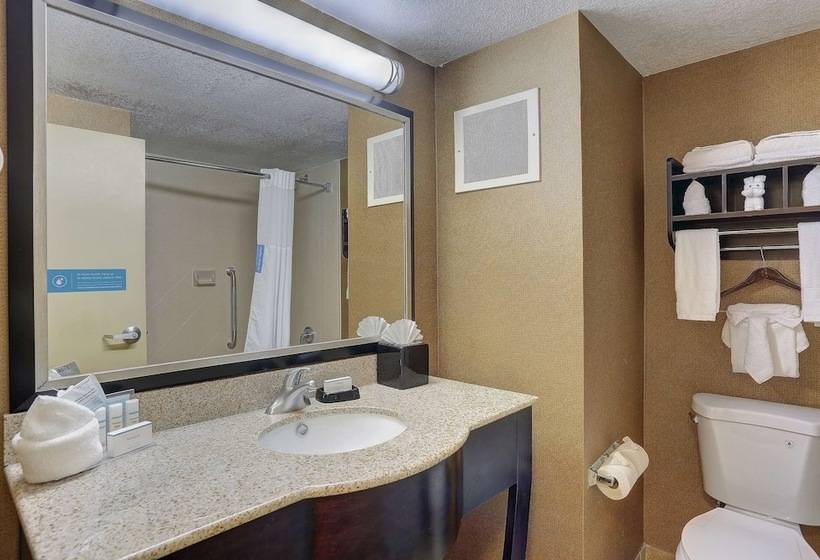 غرفة قياسية سرير كينج, Hampton Inn Nashvillei24 Hickory Hollow