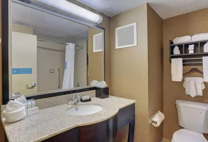 キングサイズベッドのスタンダードルーム, Hampton Inn Nashvillei24 Hickory Hollow