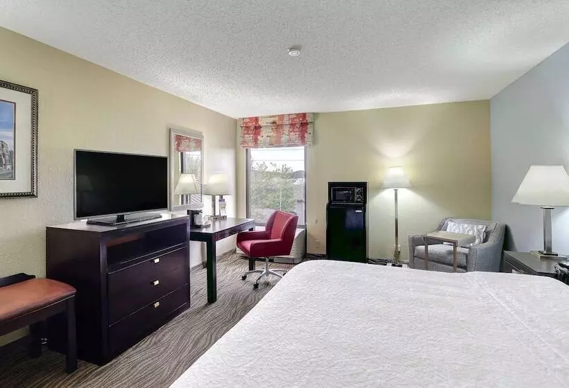 キングサイズベッドのスタンダードルーム, Hampton Inn Nashvillei24 Hickory Hollow