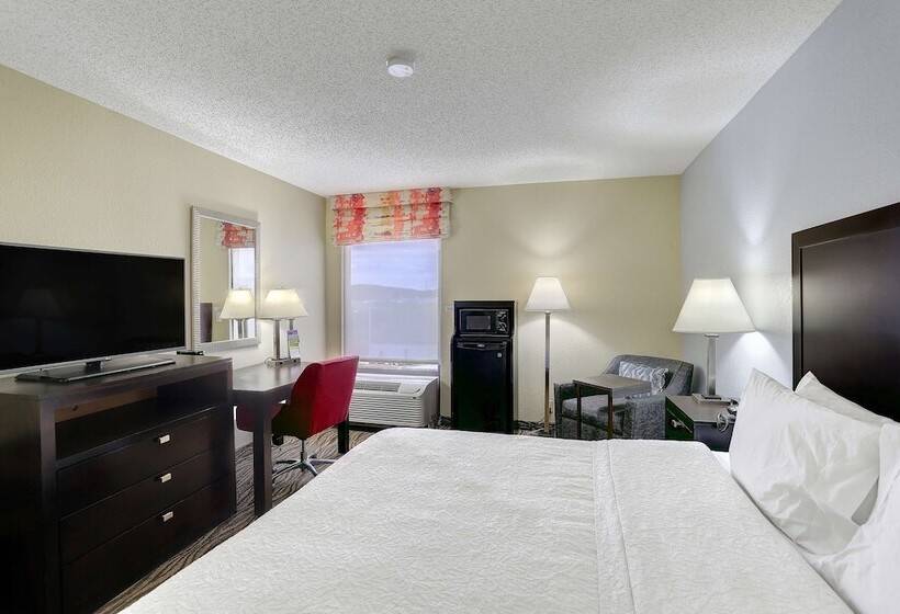 Standaardkamer met Kingsize Bed, Hampton Inn Nashvillei24 Hickory Hollow
