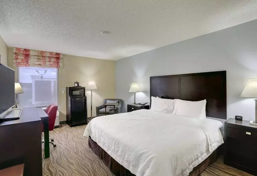 キングサイズベッドのスタンダードルーム, Hampton Inn Nashvillei24 Hickory Hollow