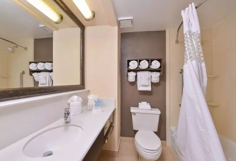 スタンダードルーム, Hampton Inn Closest To Universal Orlando