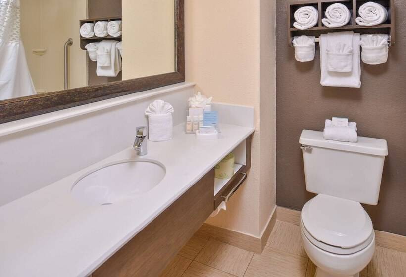 اتاق استاندارد, Hampton Inn Closest To Universal Orlando