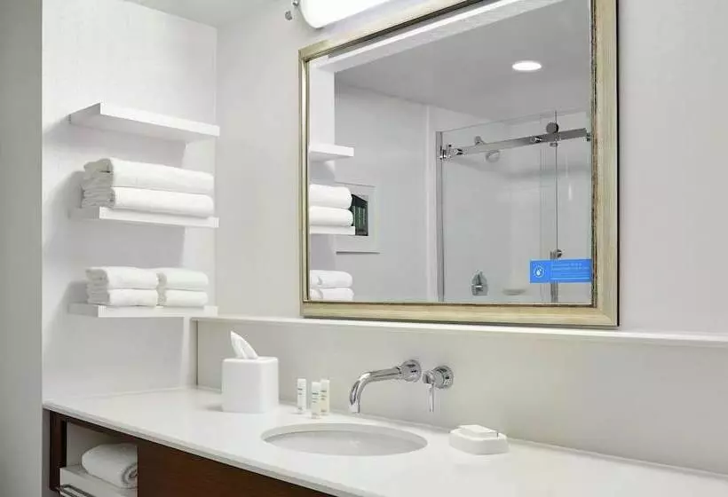 ２ダブルベッドのスタンダードルーム, Hampton Inn Philadelphia King Of Prussia
