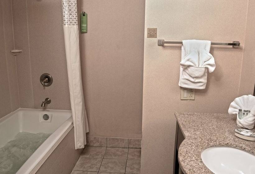 스탠다드 룸, Hampton Inn Sanford