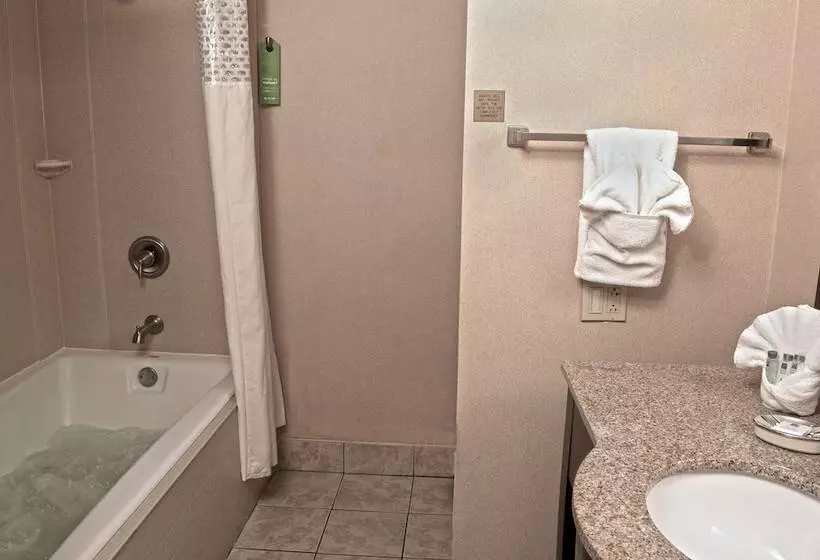 スタンダードルーム, Hampton Inn Sanford