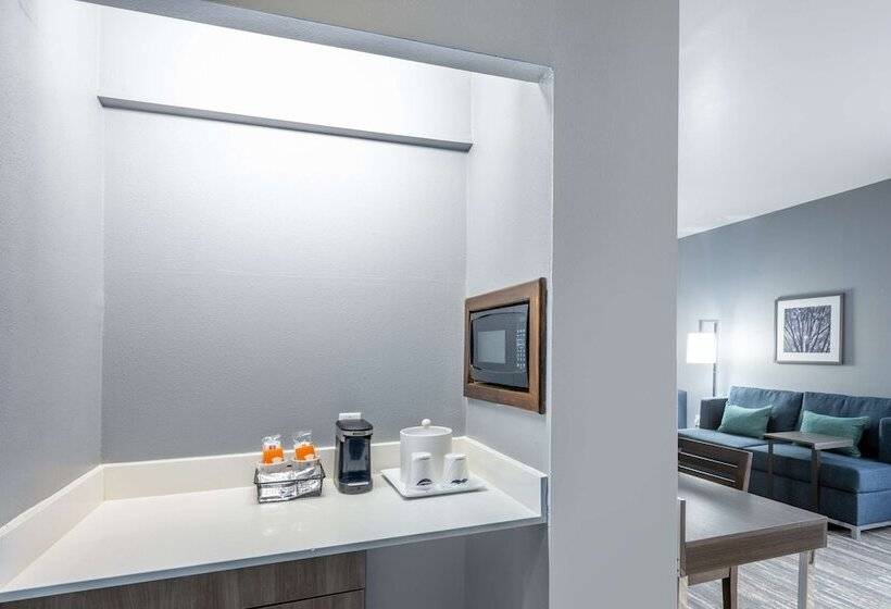 스탠다드 룸, Hampton Inn Sanford