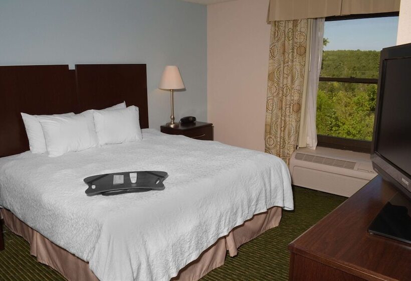 스탠다드 룸, Hampton Inn Sanford