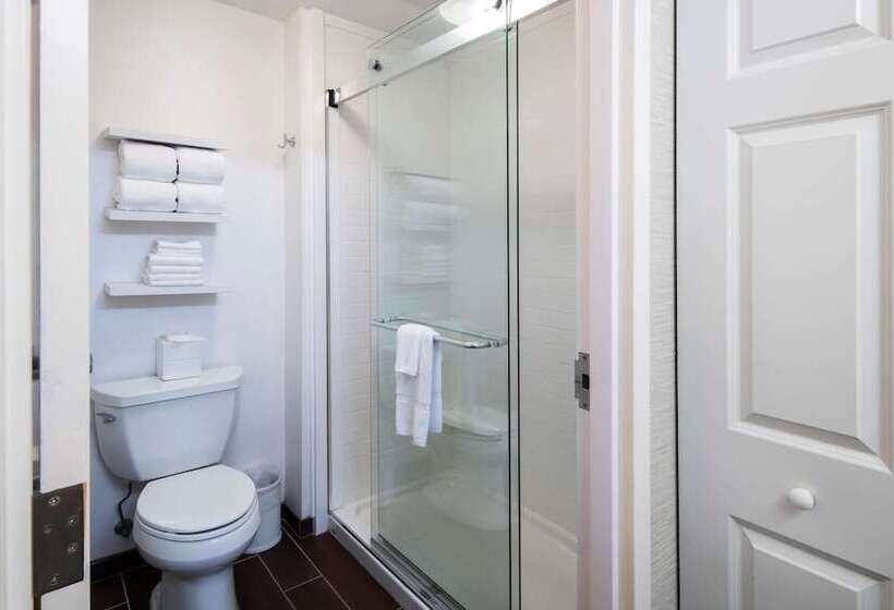 キングサイズベッドのスイートルーム, Hampton Inn & Suites Chicago/lincolnshire