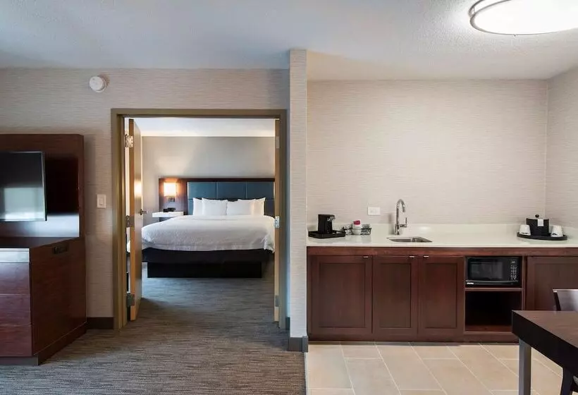 キングサイズベッドのスイートルーム, Hampton Inn & Suites Chicago/lincolnshire