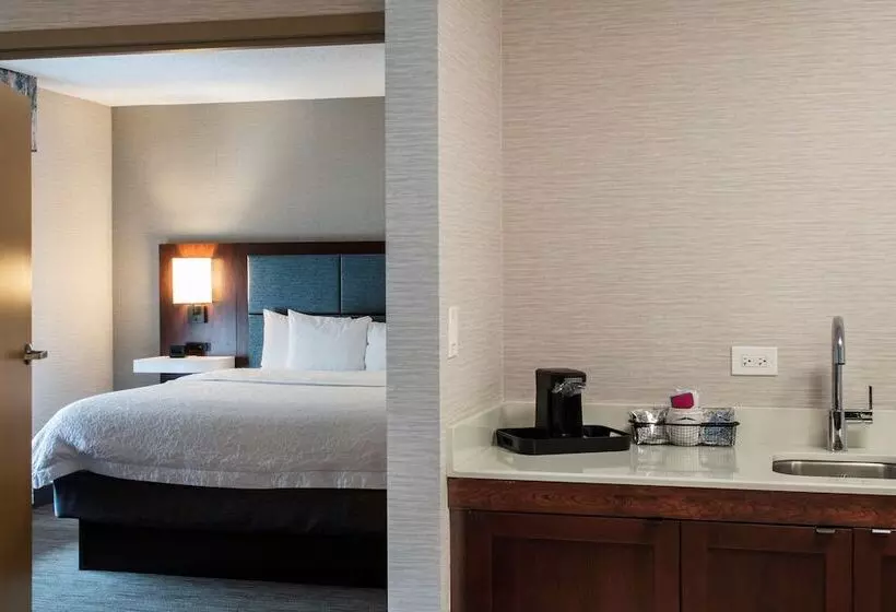 キングサイズベッドのスイートルーム, Hampton Inn & Suites Chicago/lincolnshire