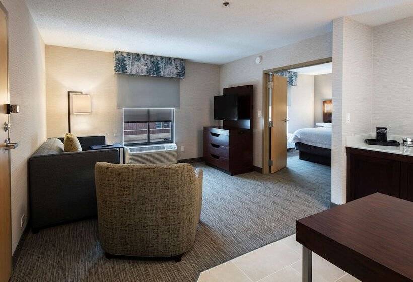 キングサイズベッドのスイートルーム, Hampton Inn & Suites Chicago/lincolnshire
