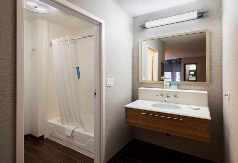 スイート, Hampton Inn & Suites Chicago/lincolnshire