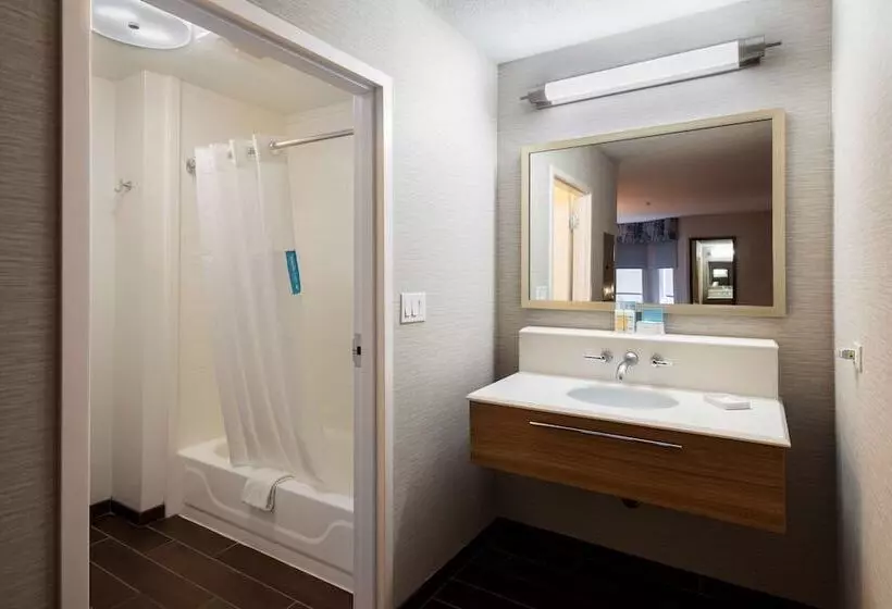 スイート, Hampton Inn & Suites Chicago/lincolnshire