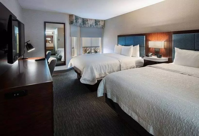 スイート, Hampton Inn & Suites Chicago/lincolnshire