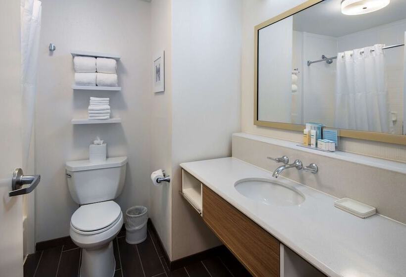 장애인을 위한 스탠다드 룸, Hampton Inn & Suites Chicago/lincolnshire