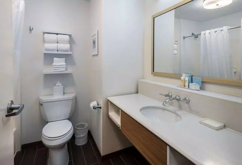 身障者適用スタンダードルーム, Hampton Inn & Suites Chicago/lincolnshire