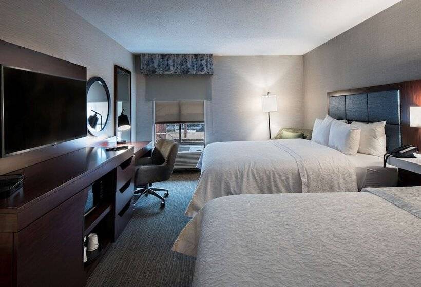 身障者適用スタンダードルーム, Hampton Inn & Suites Chicago/lincolnshire
