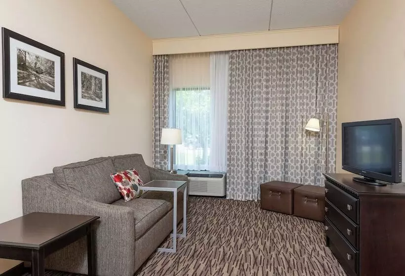 Sviitti, Hampton Inn & Suites Clevelandairport/middleburg Heights
