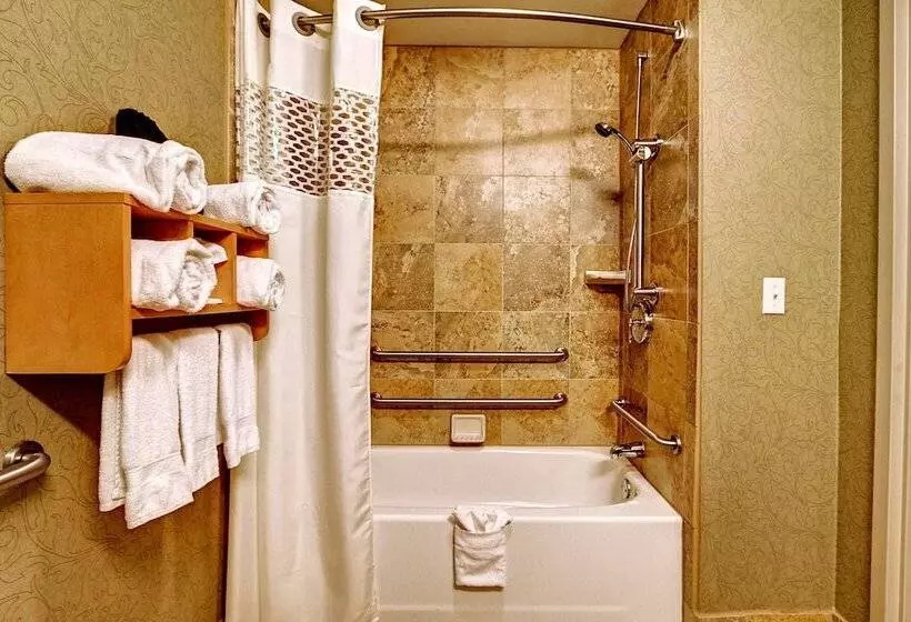 اتاق استاندارد با تخت بزرگ برای معلولان, Hampton Inn & Suites Nashvillevanderbiltelliston Place