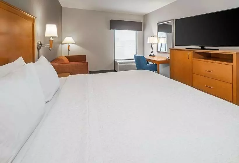 اتاق استاندارد با تخت بزرگ برای معلولان, Hampton Inn & Suites Nashvillevanderbiltelliston Place