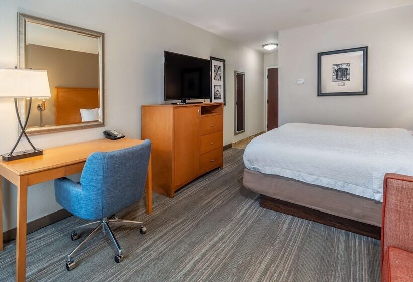 اتاق استاندارد با تخت بزرگ برای معلولان, Hampton Inn & Suites Nashvillevanderbiltelliston Place