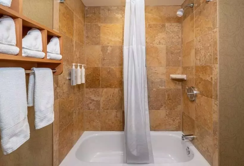 اتاق استاندارد با تخت بزرگ برای معلولان, Hampton Inn & Suites Nashvillevanderbiltelliston Place