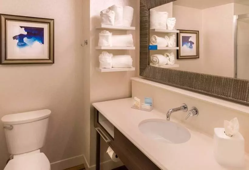 デラックスルーム, Hampton Inn & Suites Orlando/east Ucf Area