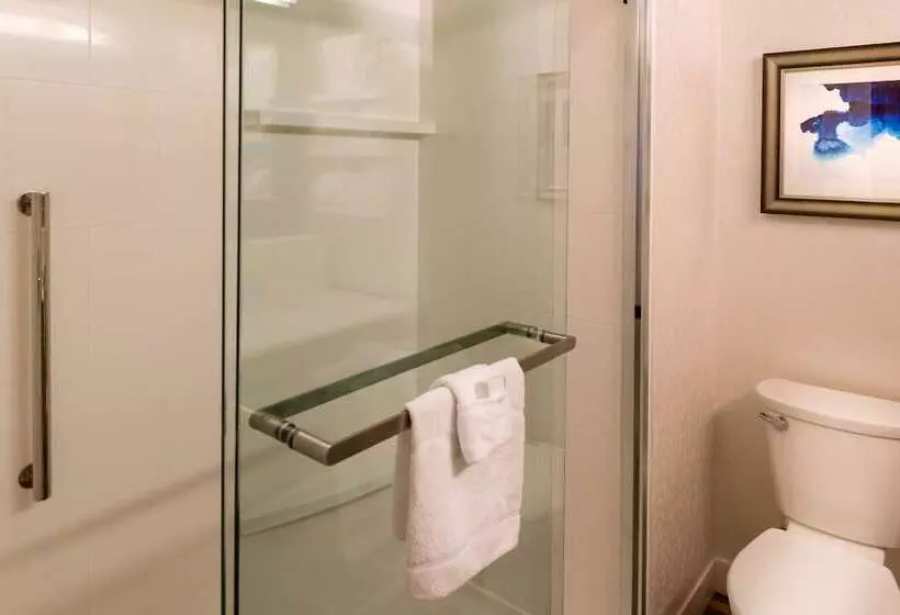 デラックスルーム, Hampton Inn & Suites Orlando/east Ucf Area