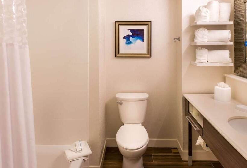 디럭스 룸, Hampton Inn & Suites Orlando/east Ucf Area