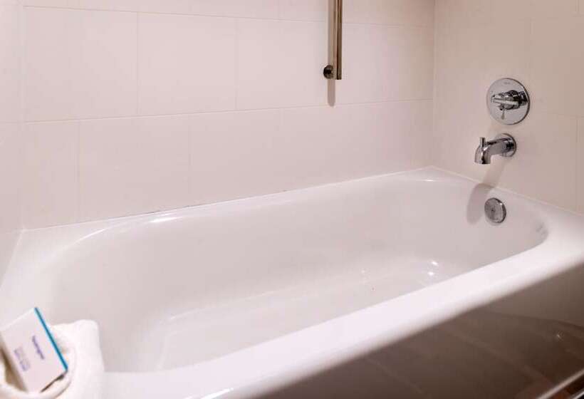 디럭스 룸, Hampton Inn & Suites Orlando/east Ucf Area