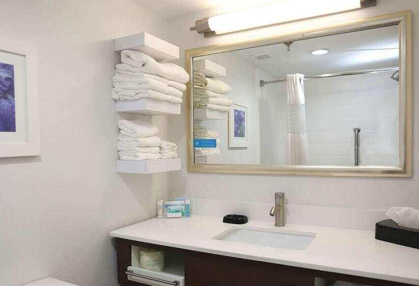 带2个双人床的标准工作室, Hampton Inn Sumter