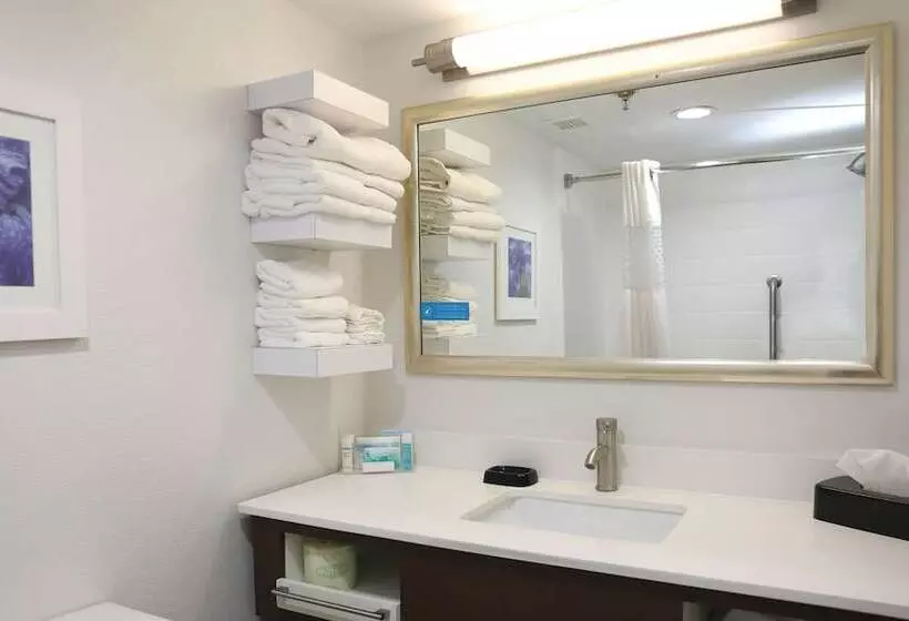 ２ダブルベッドのスタンダードルーム, Hampton Inn Sumter