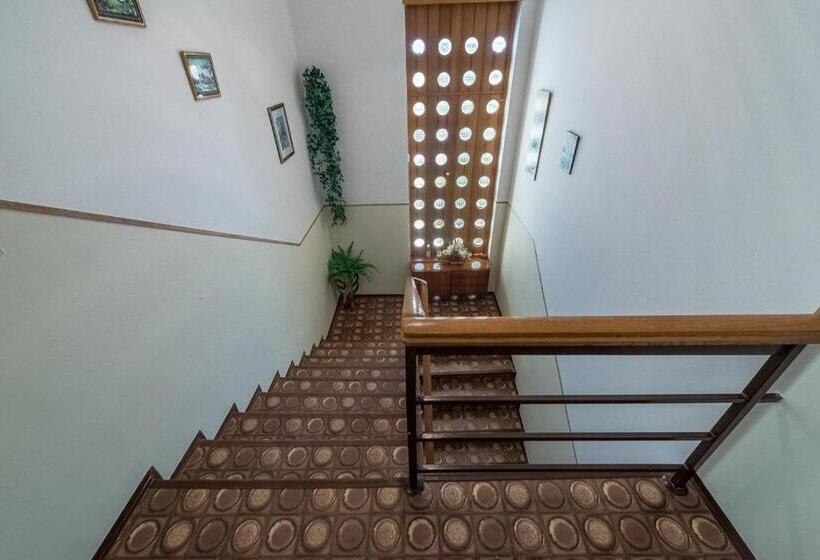 Апартаменты 1 Спальня, Apartments Kostović 1943