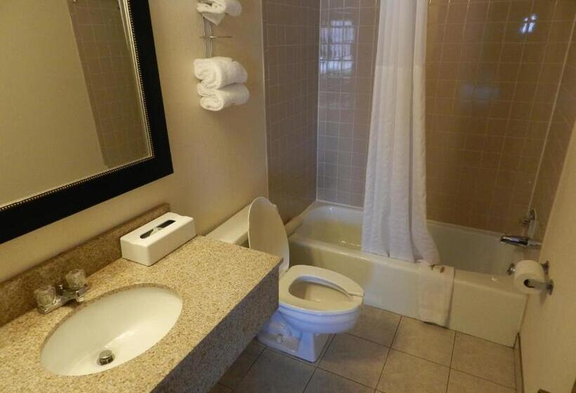 キングサイズベッドのスタンダードルーム, Baymont By Wyndham Dubuque