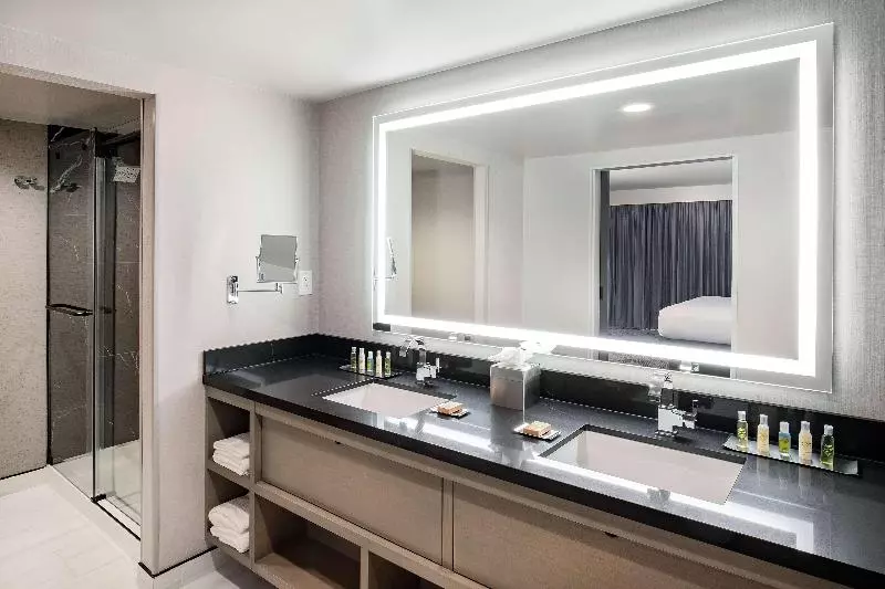 キングサイズベッドのスタンダードルーム, Doubletree By Hilton Washington Dc North/gaithersburg
