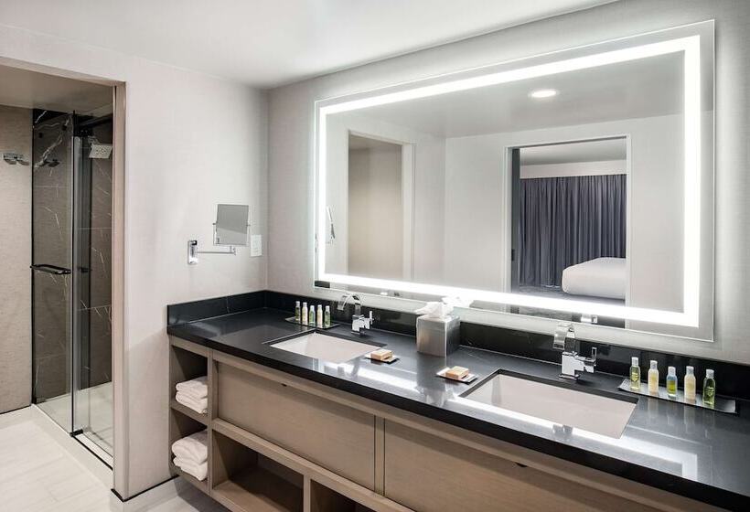 جناح مزوَّد بشرفة, Doubletree By Hilton Washington Dc North/gaithersburg