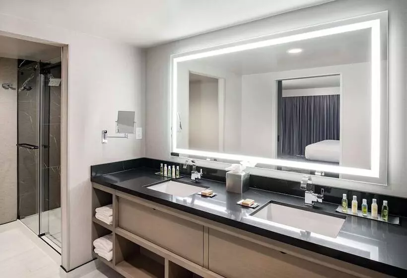バルコニー付スイート, Doubletree By Hilton Washington Dc North/gaithersburg