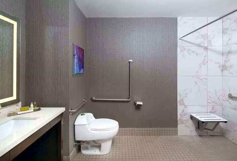 キングサイズベッドのスタンダードルーム, Doubletree By Hilton Washington Dc North/gaithersburg