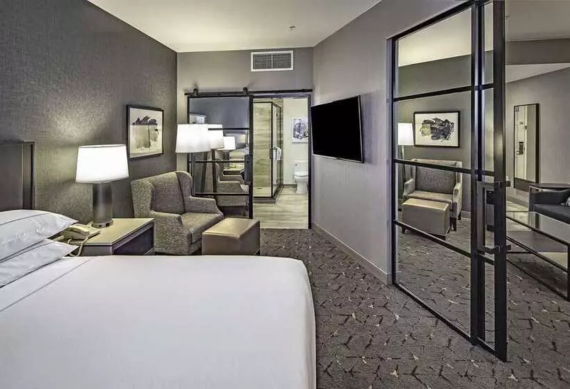 キングサイズベッドのスイートルーム, Doubletree By Hilton Washington Dc North/gaithersburg