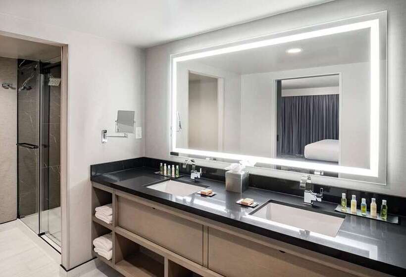 جناح سرير كينج, Doubletree By Hilton Washington Dc North/gaithersburg