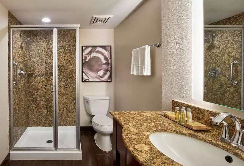 キングサイズベッドのスイートルーム, Doubletree By Hilton Washington Dc North/gaithersburg