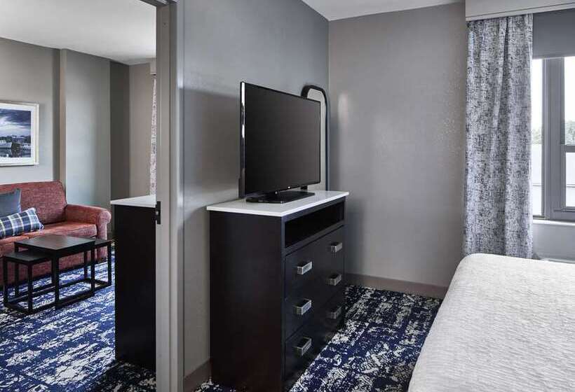 سوئیت با تخت بزرگ, Doubletree By Hilton Washington Dc North/gaithersburg