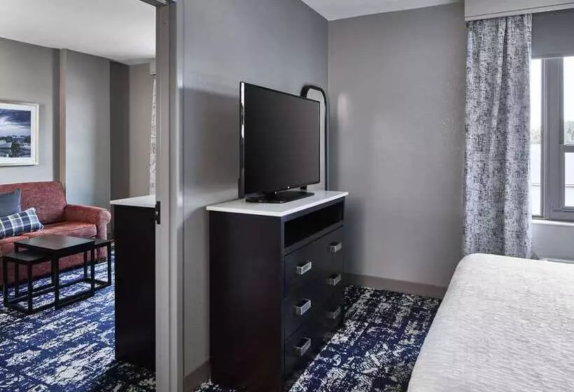 キングサイズベッドのスイートルーム, Doubletree By Hilton Washington Dc North/gaithersburg