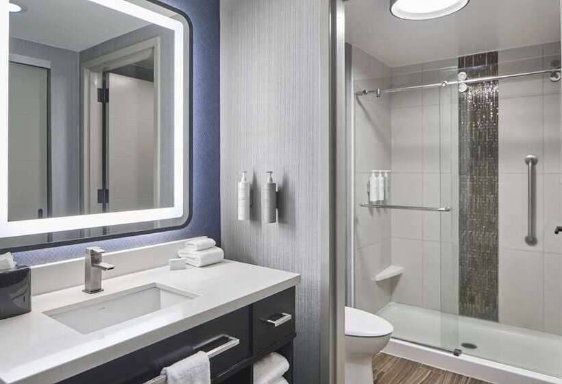 جناح سرير كينج, Doubletree By Hilton Washington Dc North/gaithersburg