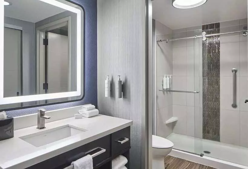 キングサイズベッドのスイートルーム, Doubletree By Hilton Washington Dc North/gaithersburg